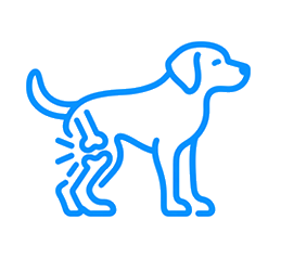 Osteoartritis canina
