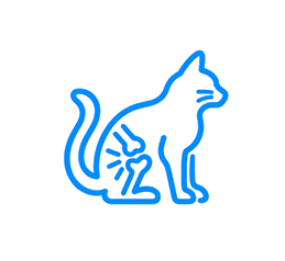 Osteoartritis felina